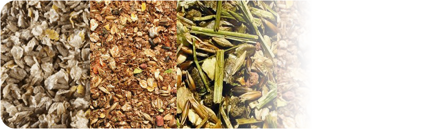 ProfiBed - podściółki z wiórów drewnianych